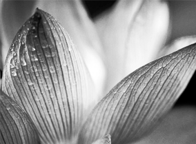 手机号轰炸业务网